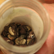 Image for article titled 11 Things You Didn't Know You Could Eat